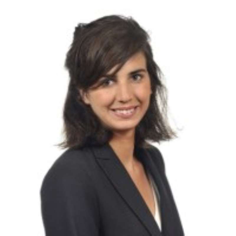 Anouchka Vie, Delsol Avocats