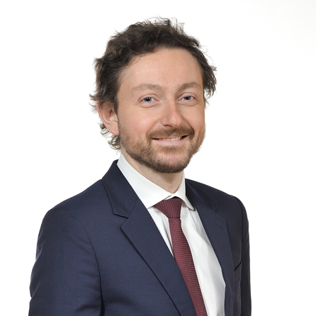 Philippe Malikian, Delsol Avocats