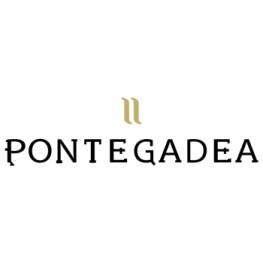 PONTEGADEA INMOBILIARIA