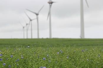 Champ vert avec 6 éoliennes en ap - 600