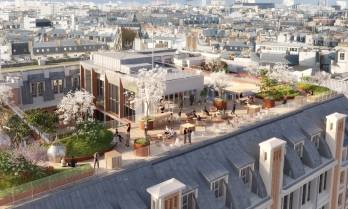 Le roseraie de l'immeuble Beige, par Covivio