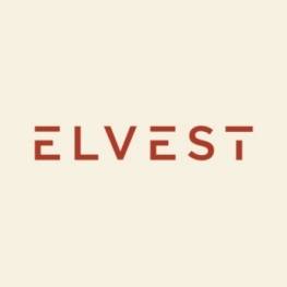 ELVEST (EX INTER INVEST)
