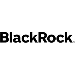 BLACKROCK REAL ASSETS