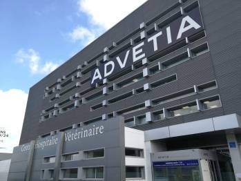 Le centre hospitalier vétérinaire Advetia situé à Velizy-Villacoublay. Le centre hospitalier vétérinaire Advetia situé à Velizy-Villacoublay.
